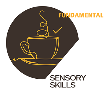 Sensory Skills — Fundamental