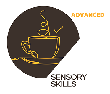 Sensory Skills — Advanced