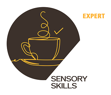 Sensory Skills — Expert