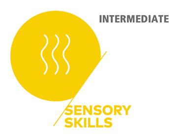 SCA Sensory Skills — Intermediate
